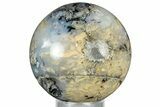 Polished Dendritic Agate Sphere - Fluorescent! #327419-1